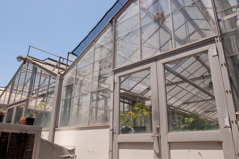 Greenhouses