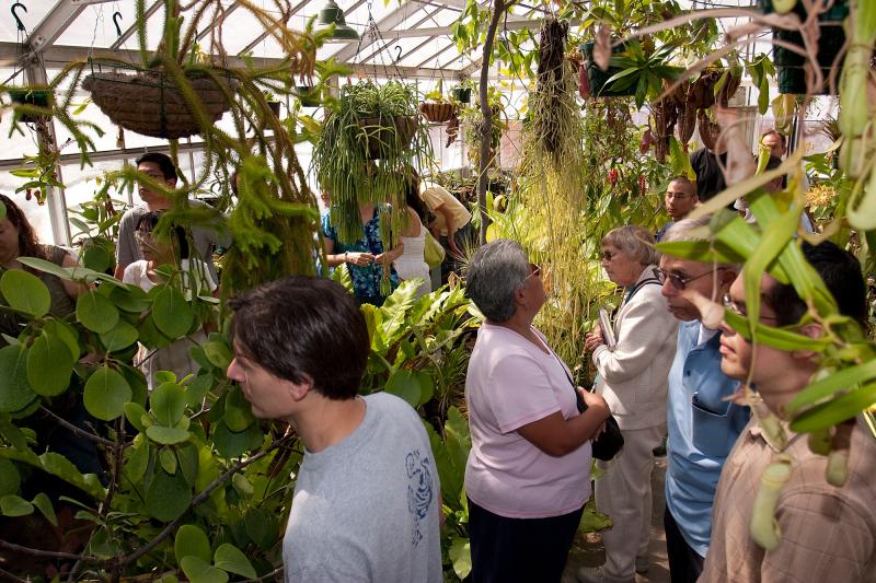 Greenhouse