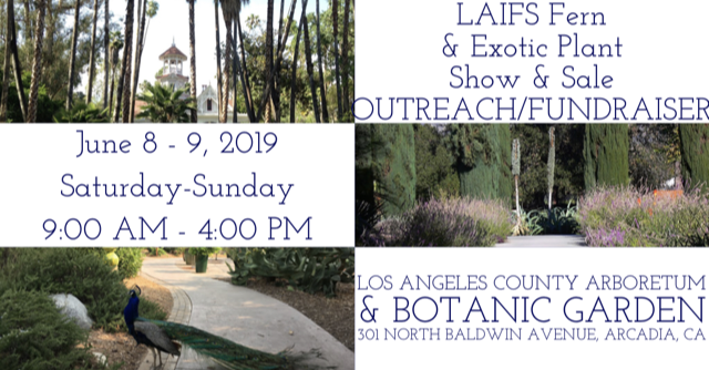 Los Angeles International Fern Society LACPS outreach announcement