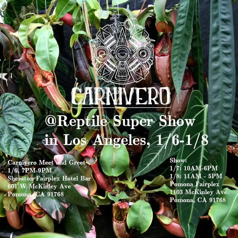 LA Carnivorous Plant Society Pomona event with Carnivero